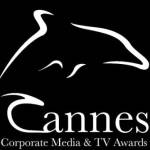 Cannes Corporate Silver Dolphin